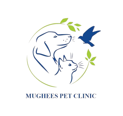 Mughees Pet Clinic